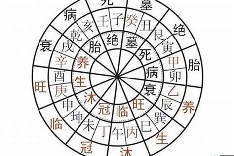 八字 沐浴|八字中的沐浴怎么看 (八字中的沐浴运是旺运还是衰运)